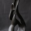 Hermaphrodite 4 Sara Amato Gentric